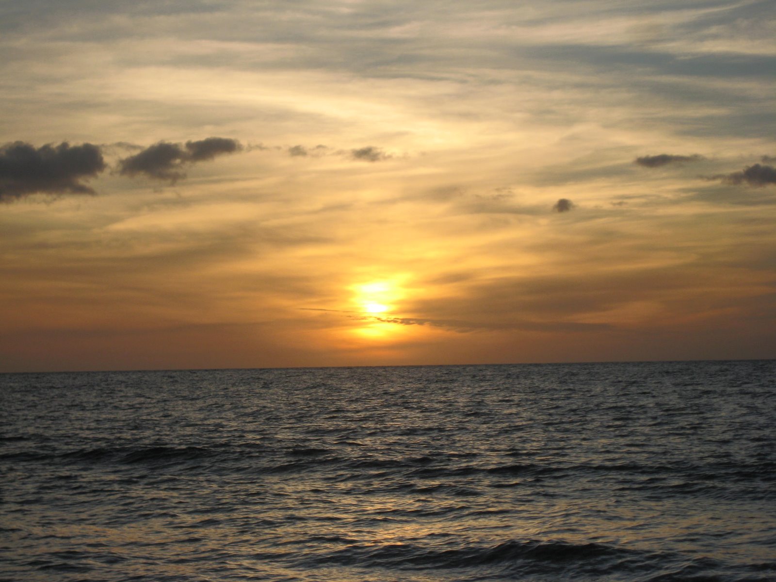 [IMG_8570.JPG]