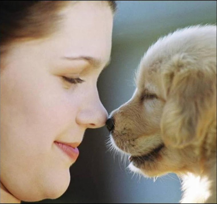 Proteção e Respeito aos animais