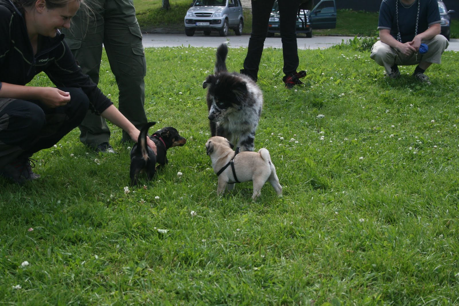 [IMG_2533.JPG]