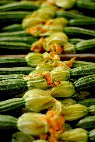 [zucchine+sott+olio.jpg]