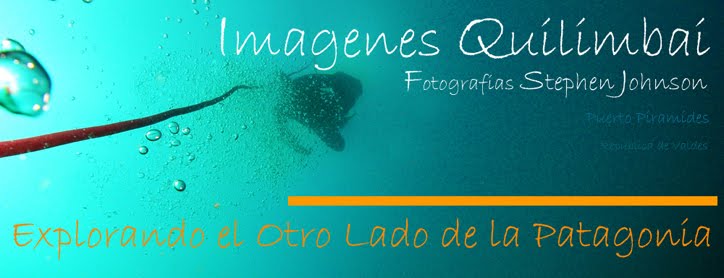 Fotografia Stephen Johnson, Imagenes Quilimbai