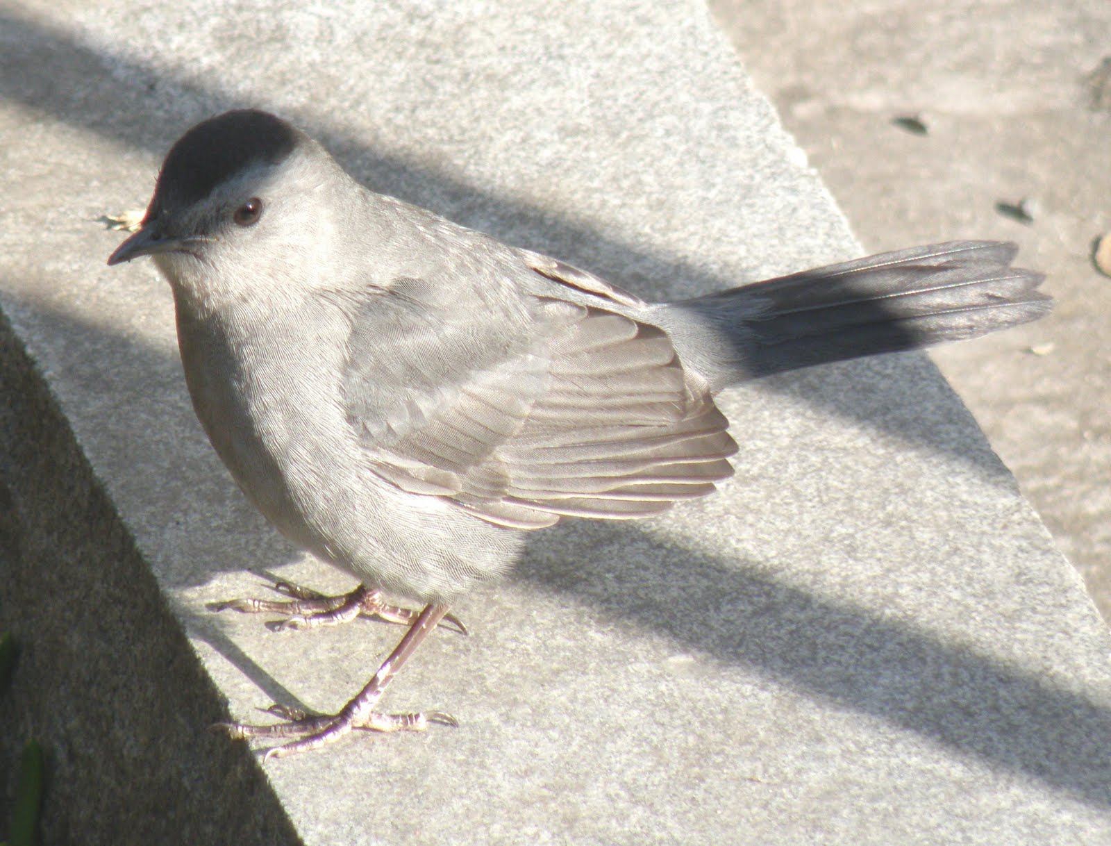 [PC060113.JPG]