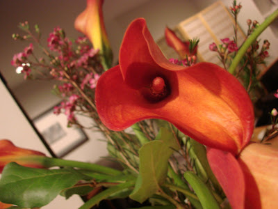 Kewpie+mayonnaise+recipe