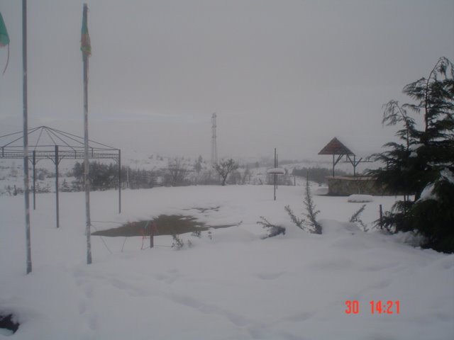 [Imagem+093.jpg]