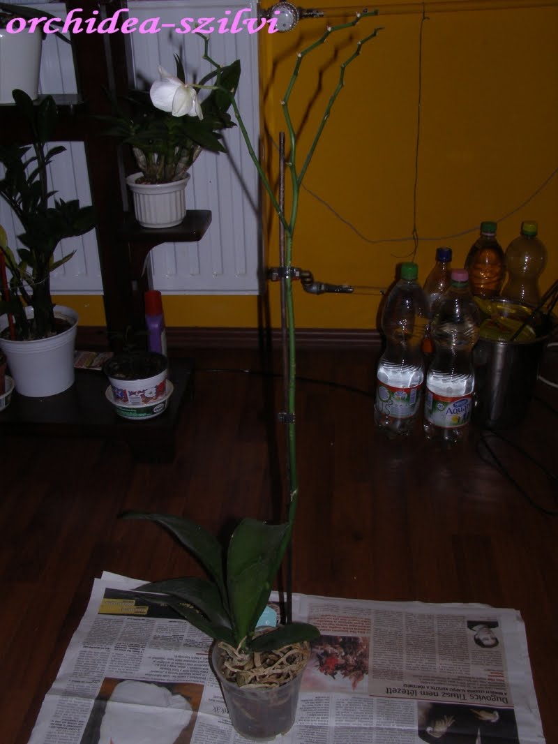 [P2040397.JPG]