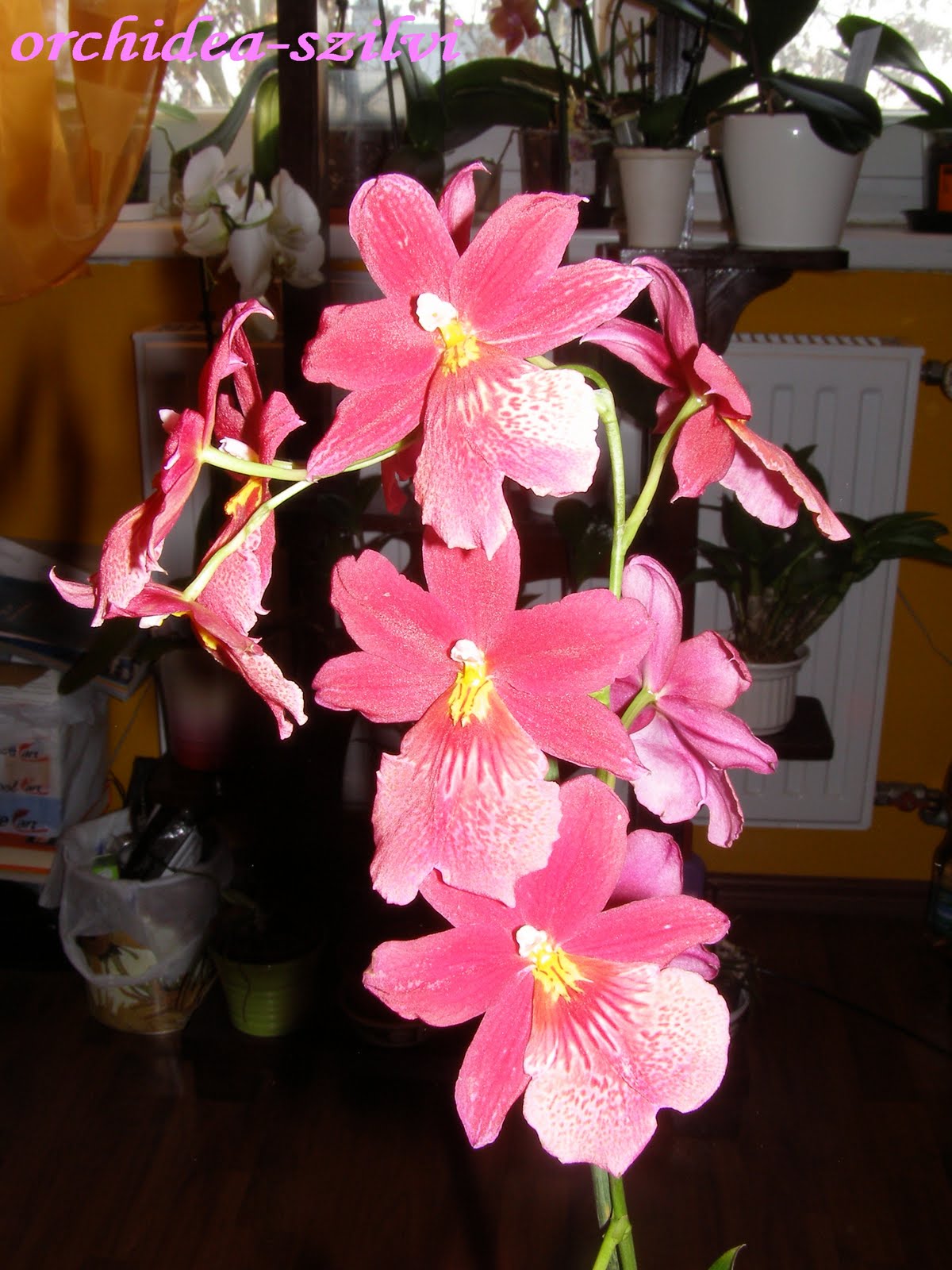 [PC210695.JPG]