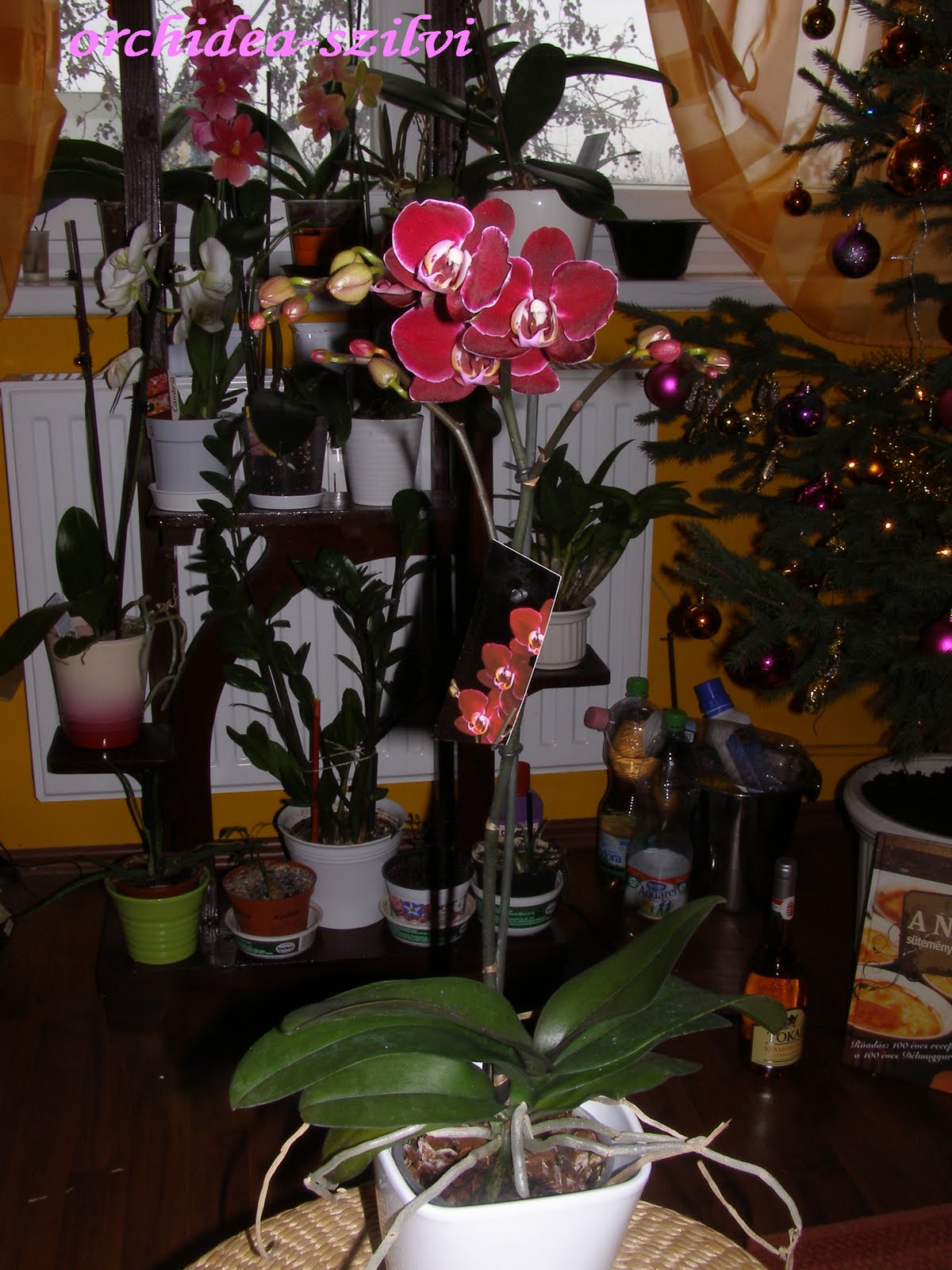 [PC270598.JPG]