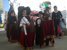 Cavallets de Malla