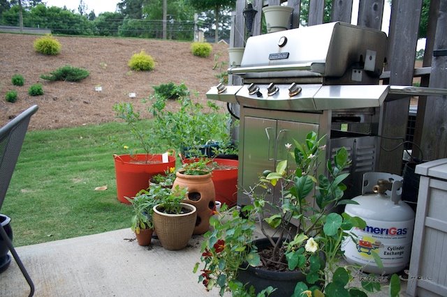 [May+Garden+2009-05-21.jpg]