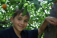 Cordell