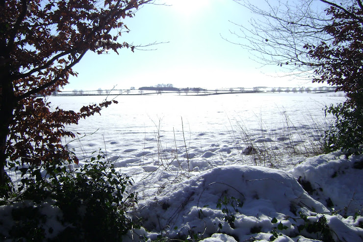 A Winter's View from Shipton-under-Wychwood, Oxfordshire, UK (February 2009)