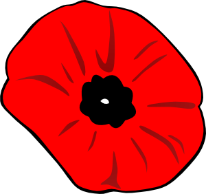 Poppy Flowers for Remember Someone Poppy Flowers for Remember Someone