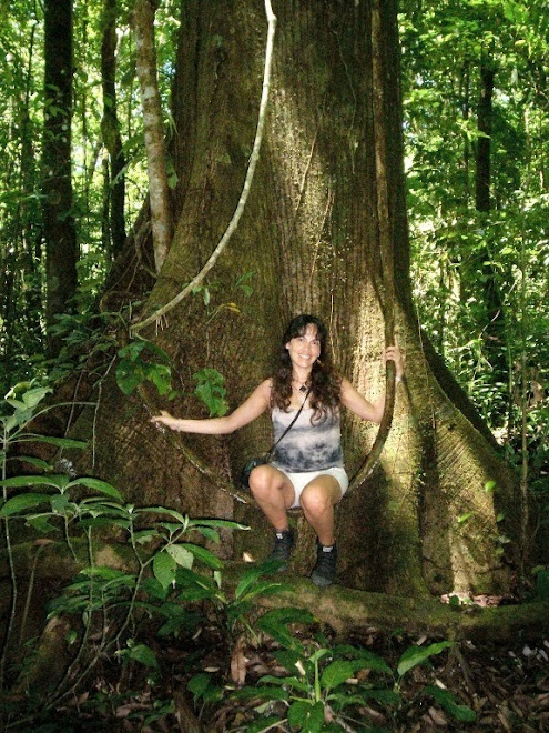 Selva de Palenque