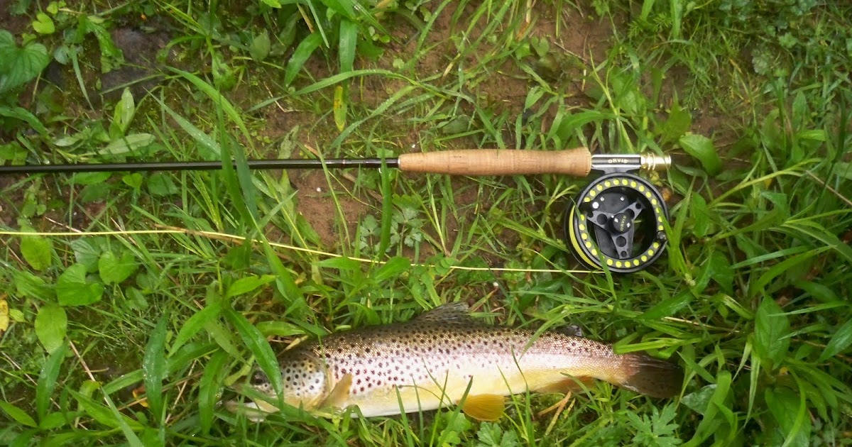 Grobe Anglers And Adventures Penns Creek Fishing Report 51710