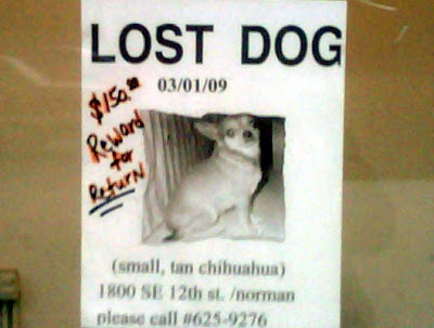 Lost Puppy Flyer