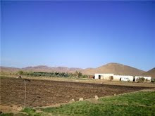 The farm for Saffron & medicinal herbs