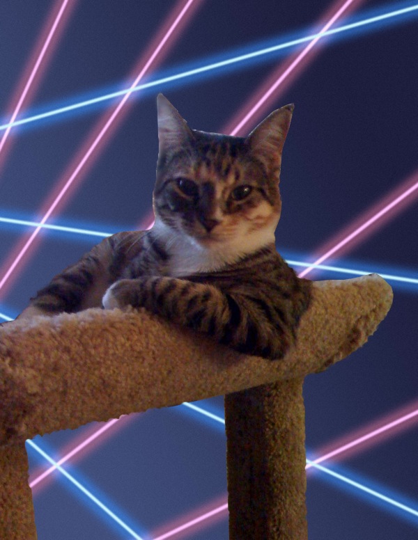 [Lazer+Cat.jpg]