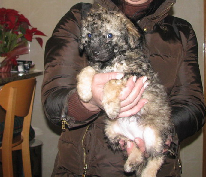 [IMG_0052_resize.jpg]