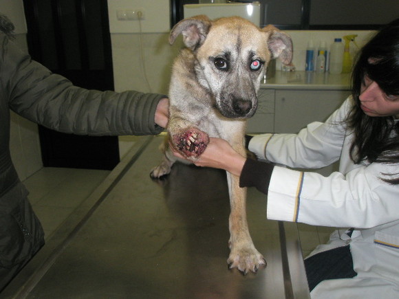 [2665237_i8dsH.jpeg]