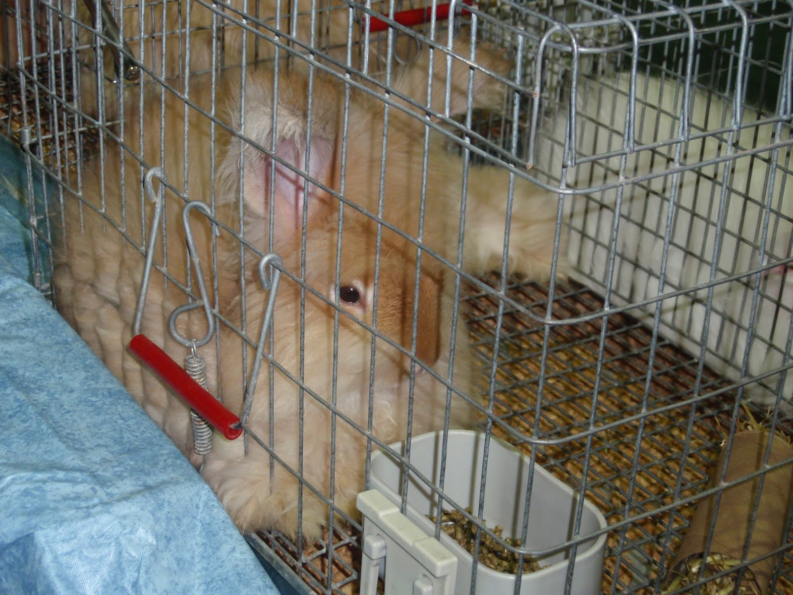 [PA240063.JPG]
