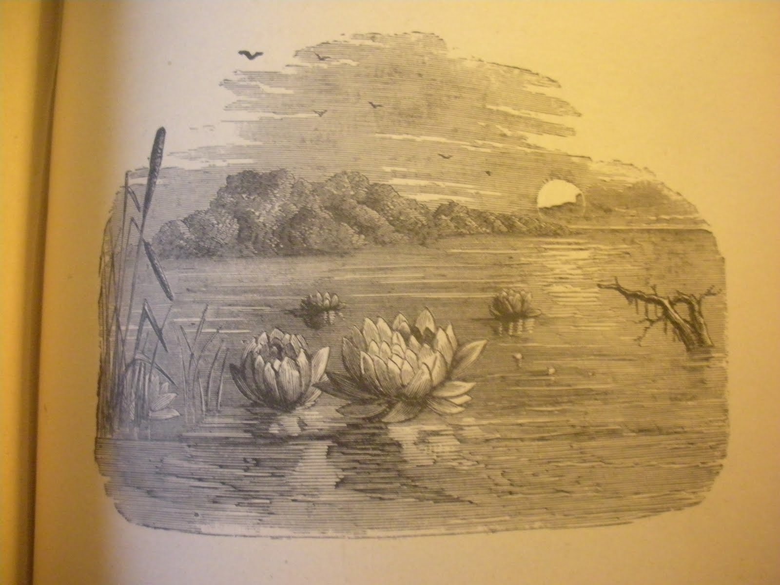 bo film rencontre elizabethtown