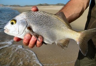 [Blog+Perch+Thing.jpg]
