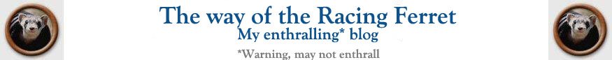 The way of the Racing Ferret - my enthralling blog