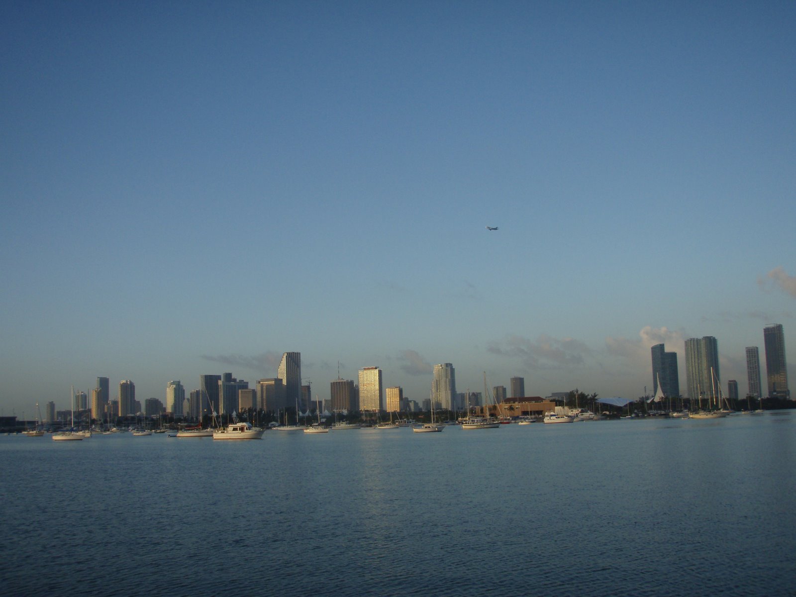 [20+decembre+2008.JPG]