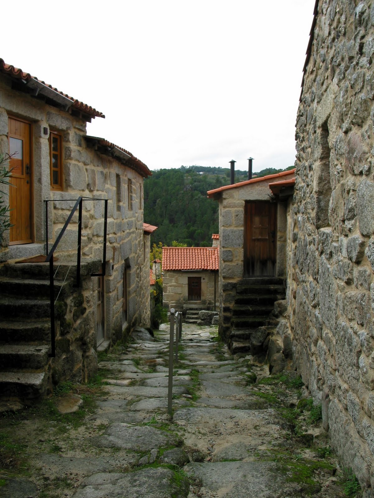 [IMG_2533.JPG]