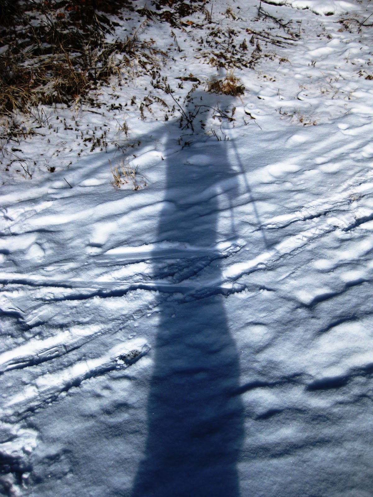 Pajarito Nordic Ski Trail High Desert Dirt: Nordic Skiing Pajarito - Los Alamos