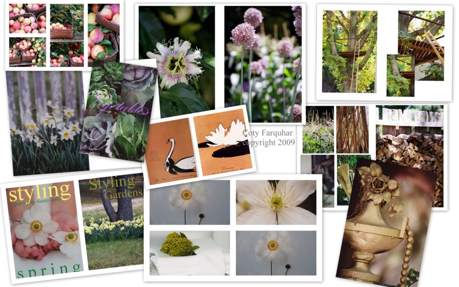 of interesting ideas and collage ideas for pictures. of interesting ideas and
