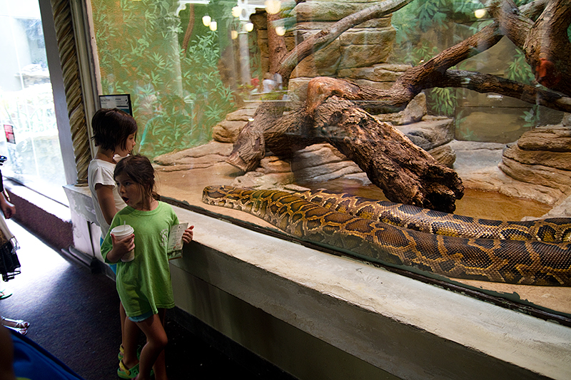 A. Ngeow Reptile House