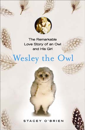 [wesley+the+owl.jpg]