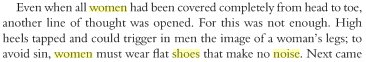 [shoe.bmp]