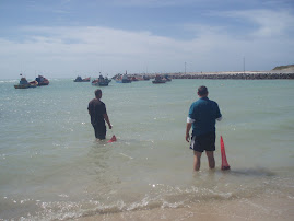 Chumming for stingrays!