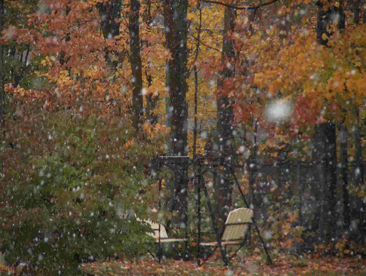 [snow3.jpg]