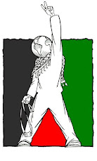 IMAGENES PALESTINA