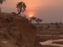 African Sunset