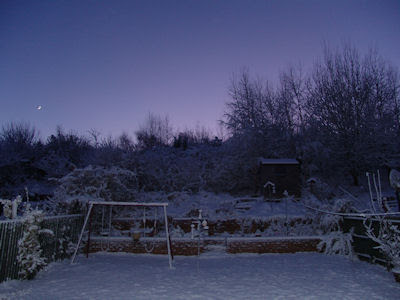 Stereoscopic Snow