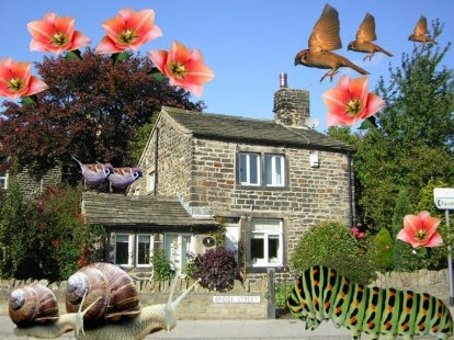 [IdealGarden(L)2.jpg]