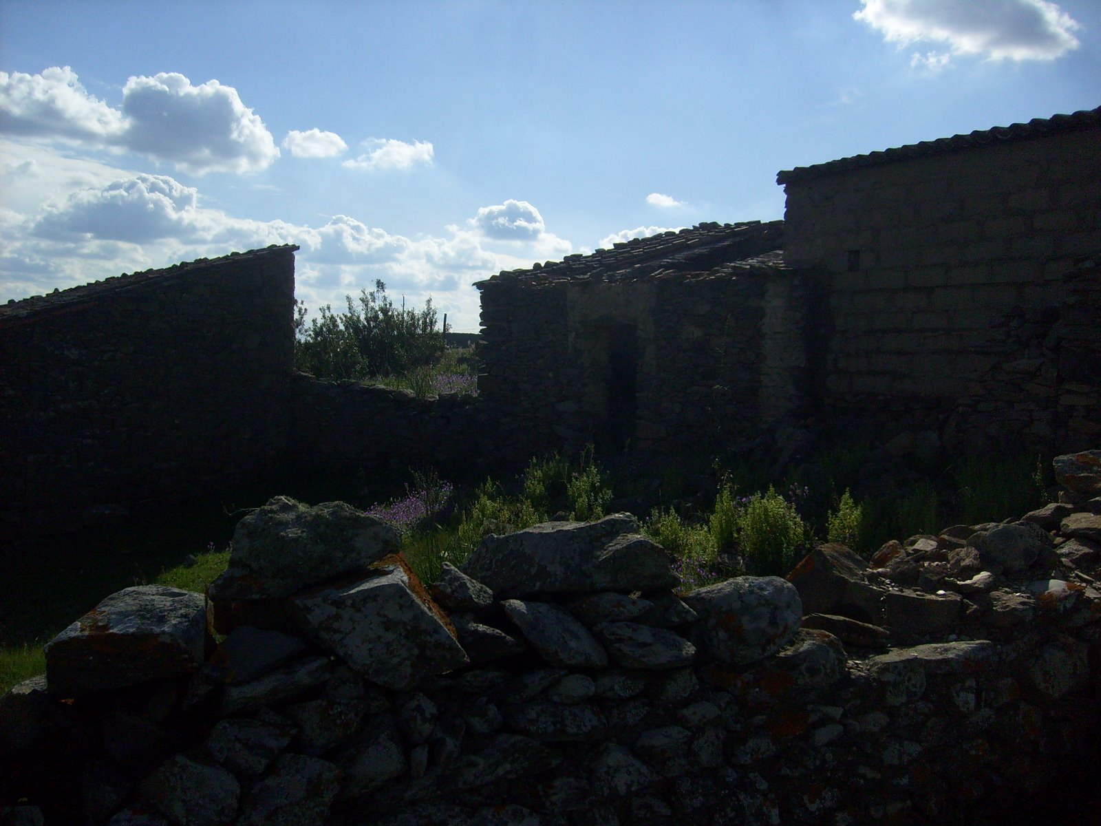 [S7301333.JPG]