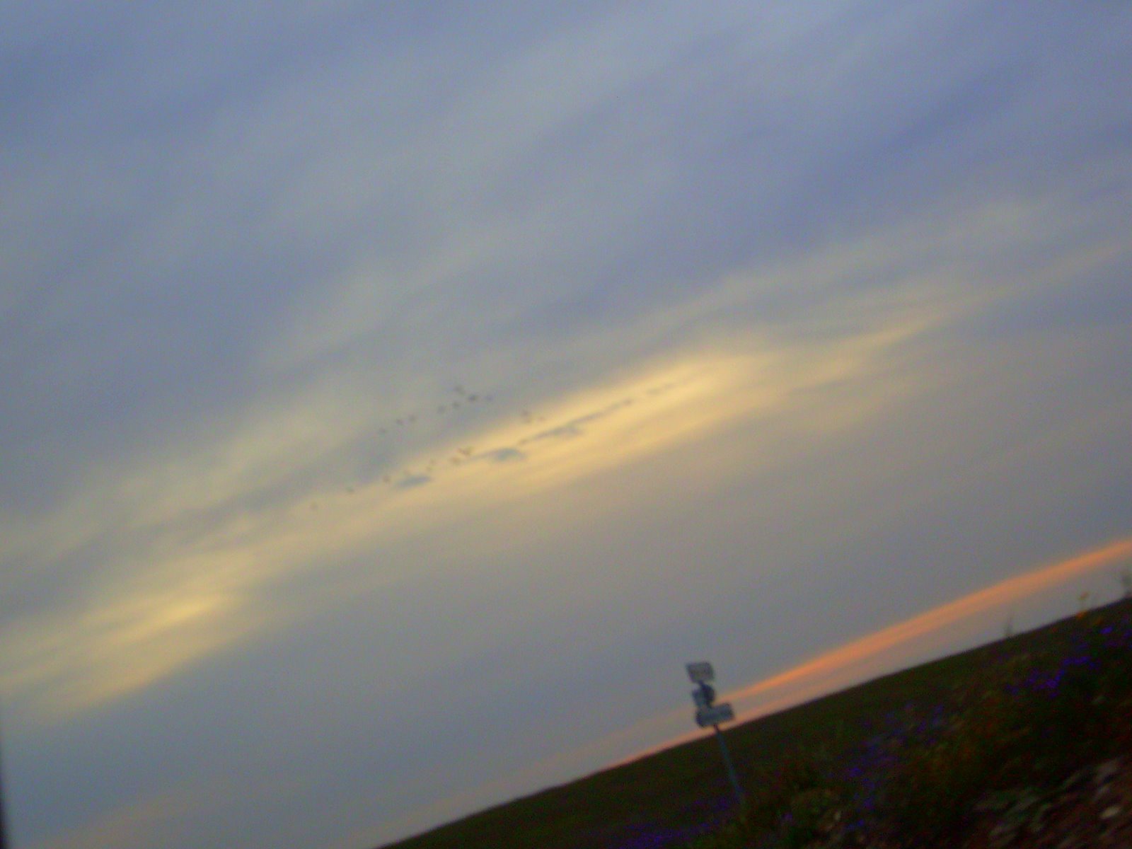 [S7301920.JPG]