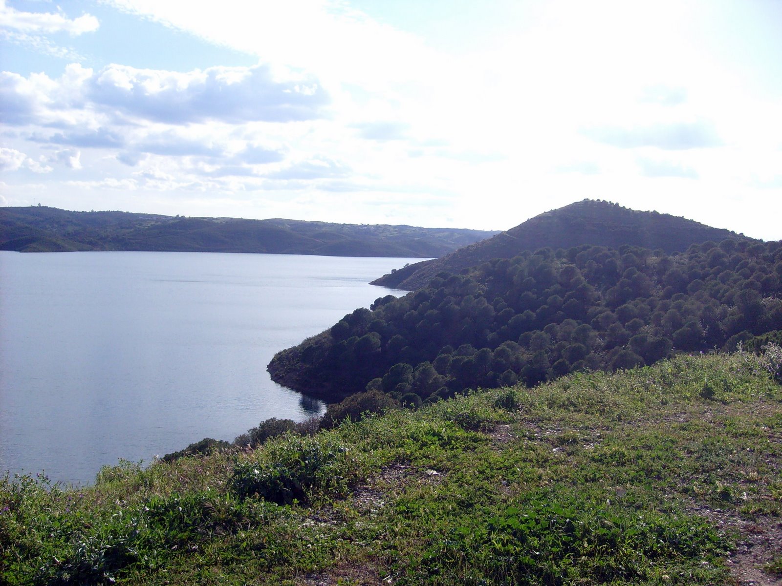 [S7301389.JPG]
