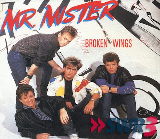 broken%20wings.jpg