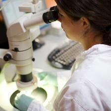 Has a cure for HIV been found?