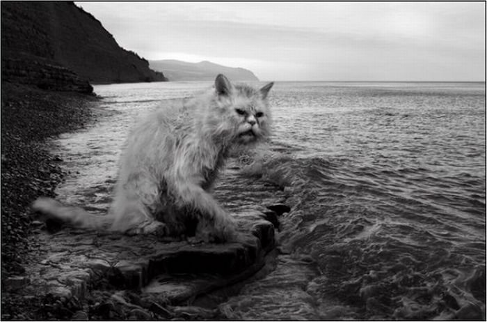 barzellette russe: gennaio 2011