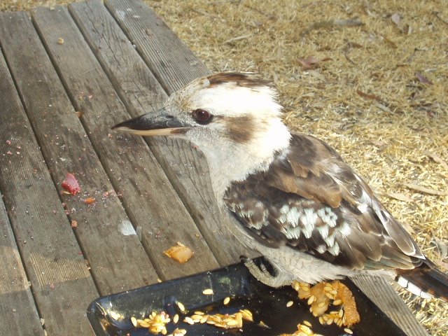 [20.2.09.on+table.5.JPG]