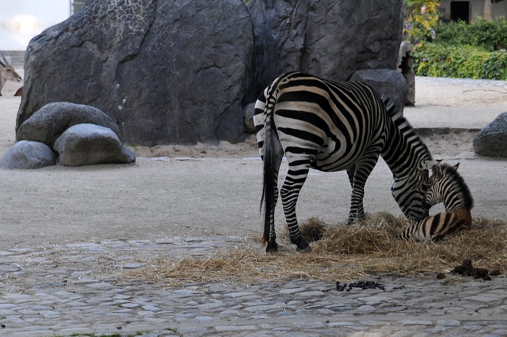 [_CTR9701-766022.JPG]