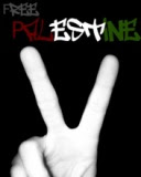 Free Paleistine