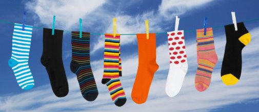 [pince+à+linge.jpg]